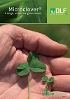 Microclover brochure